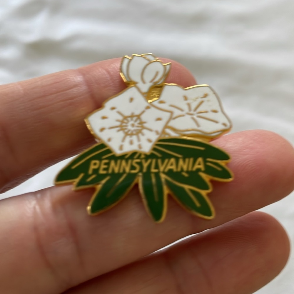 Vintage Pennsylvania Mountain Laurel pin/brooch. 1.25”Enamel white, green. - Picture 4 of 4